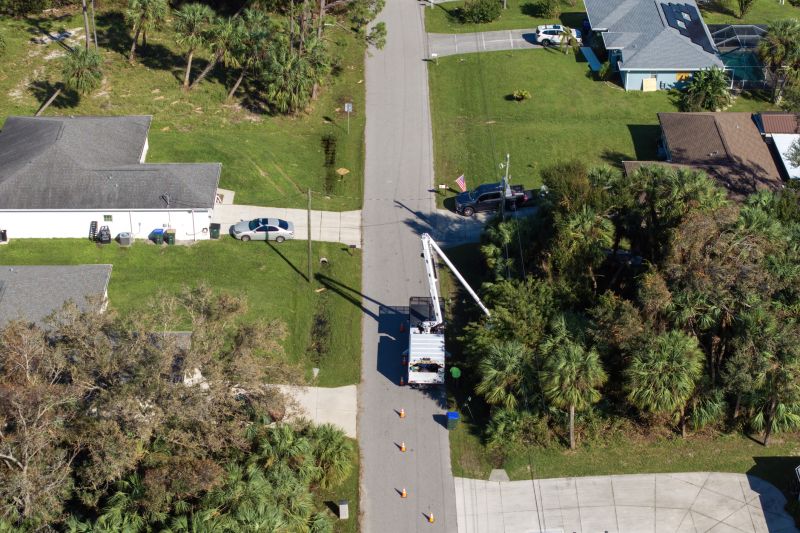 The Importance Of Regular Tree Trimming For Property Safety