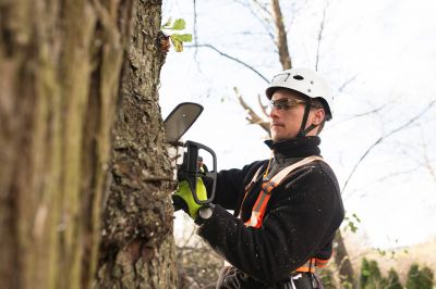Tree Trimming Equipment