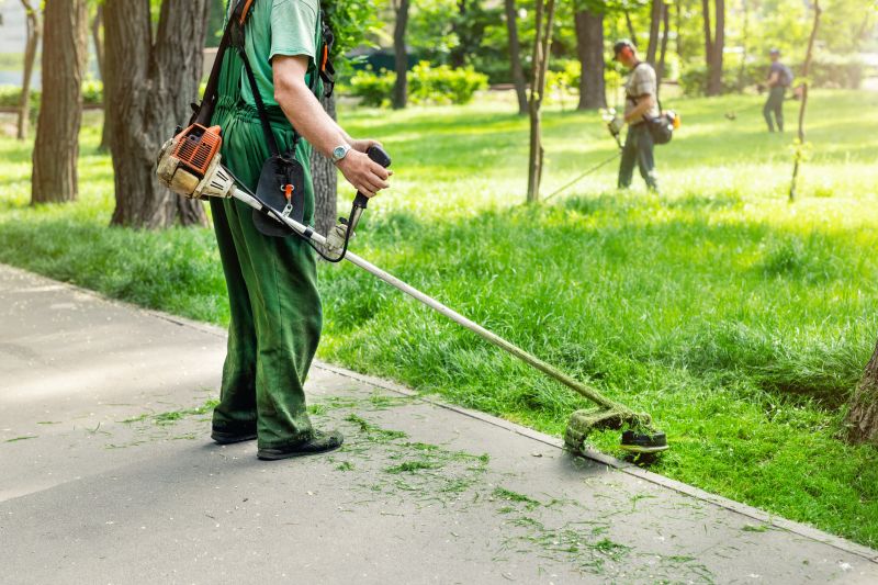 Urban Tree Maintenance Services